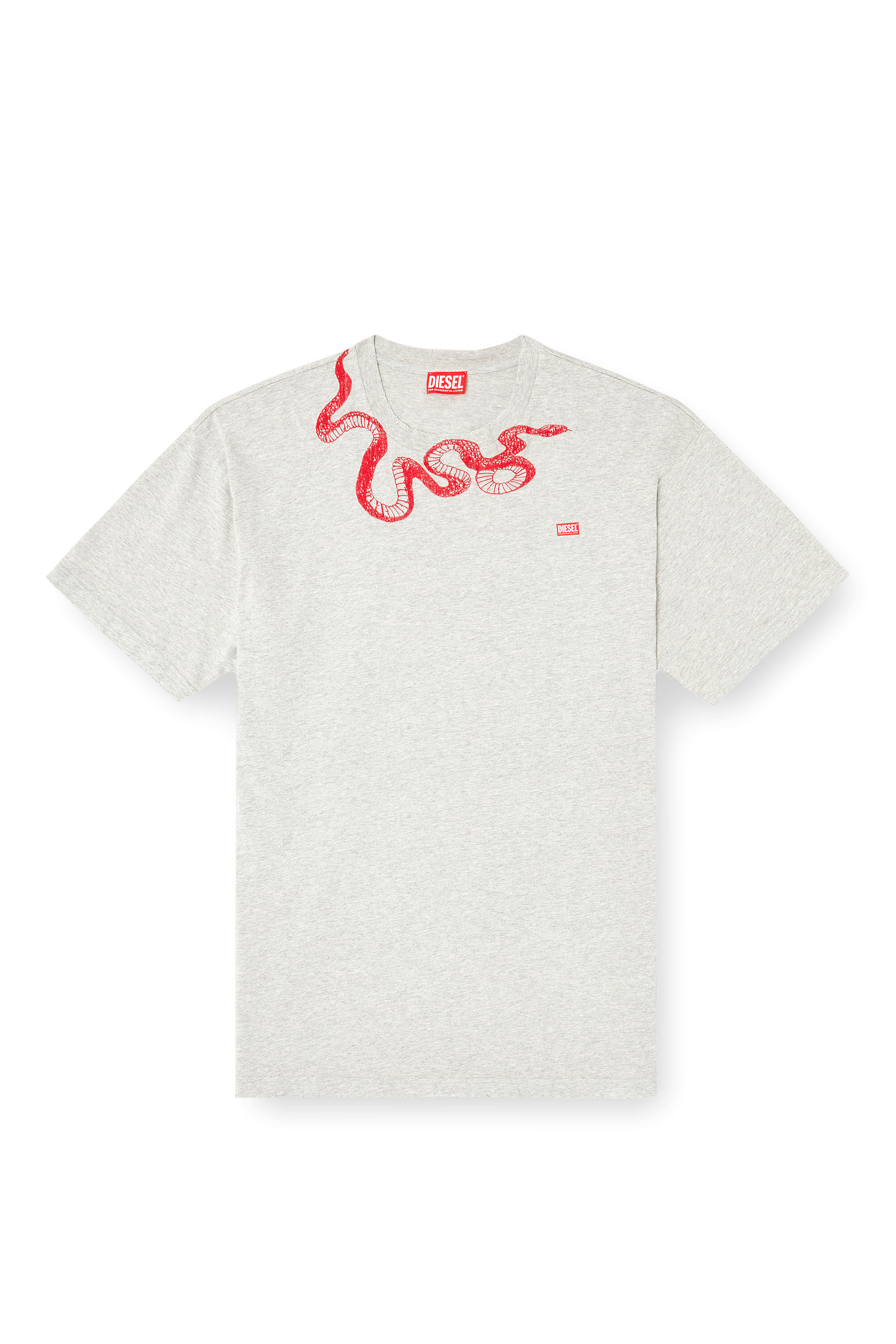 Diesel - CL-T-BOXT-MEL-SNAKE, T-shirt avec broderie serpent Mixte in Gris - 2