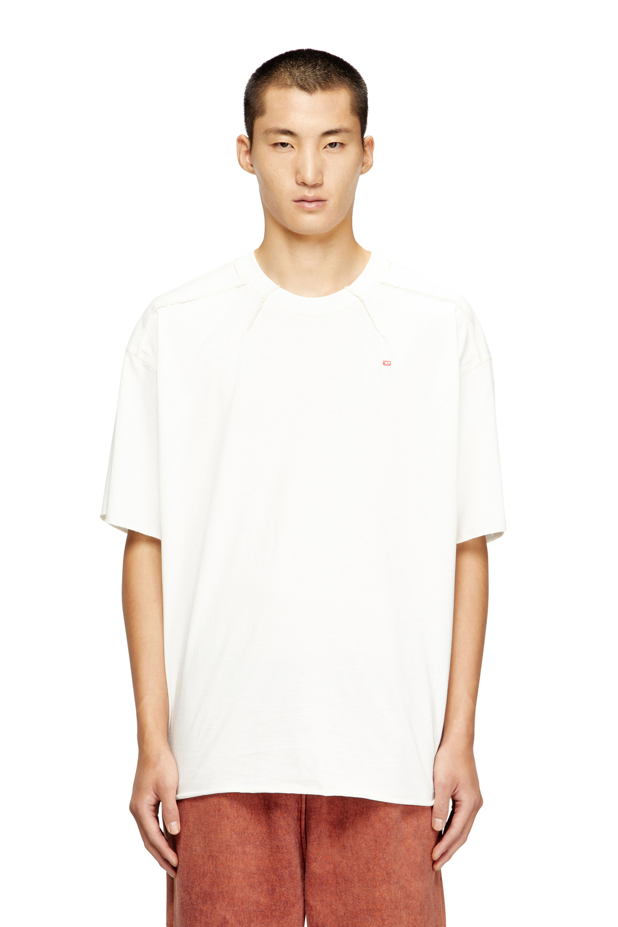 Diesel - T-CRAHOR-BOXT-T1, T-shirt en coton avec micro broderie Homme in Blanc - 3
