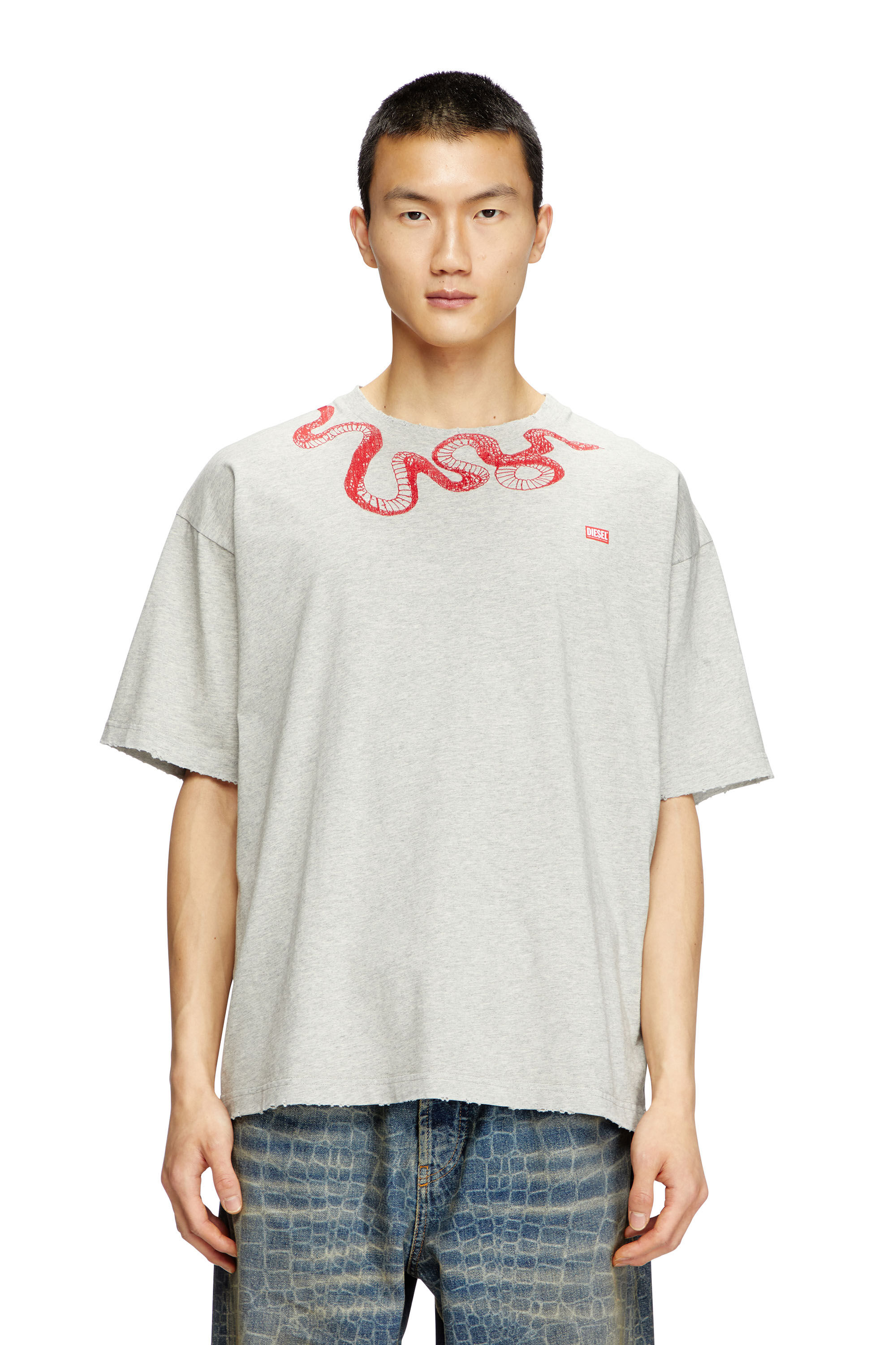 Diesel - CL-T-BOXT-MEL-SNAKE, T-shirt avec broderie serpent Mixte in Gris - 3