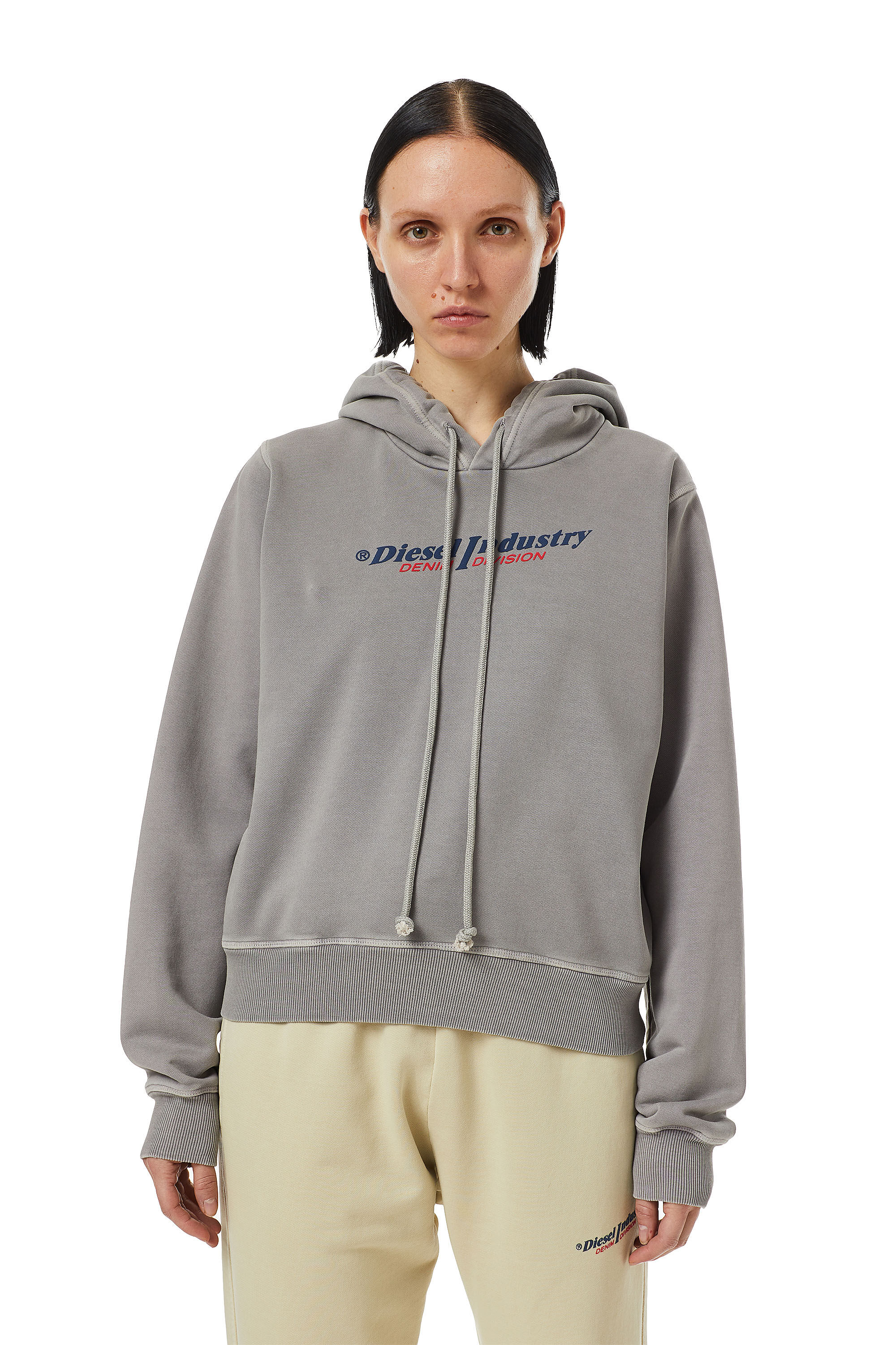 Diesel - F-REGGY-HOOD-IND, Grey - Image 3
