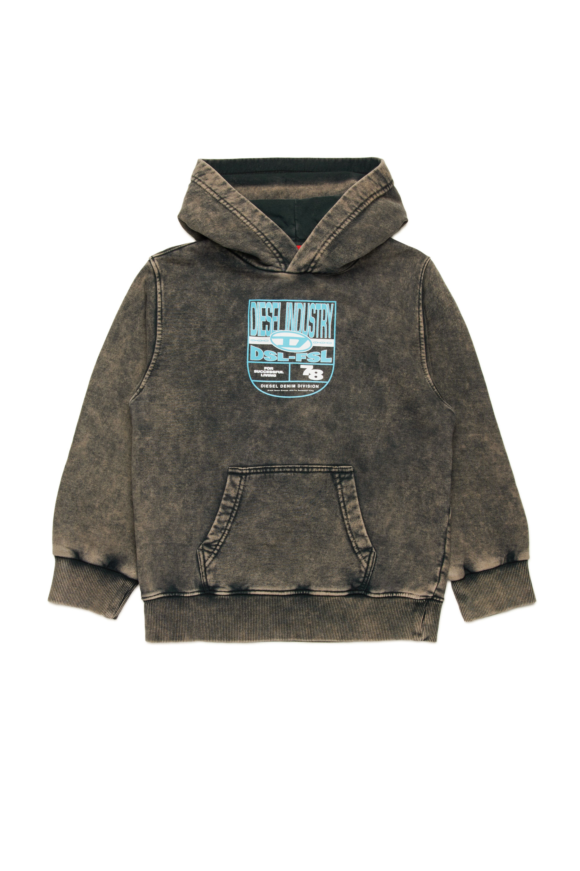 Diesel - SPRIDHOOD OVER, Sweat-shirt à capuche marbré avec logo graphique Homme in Noir - 1