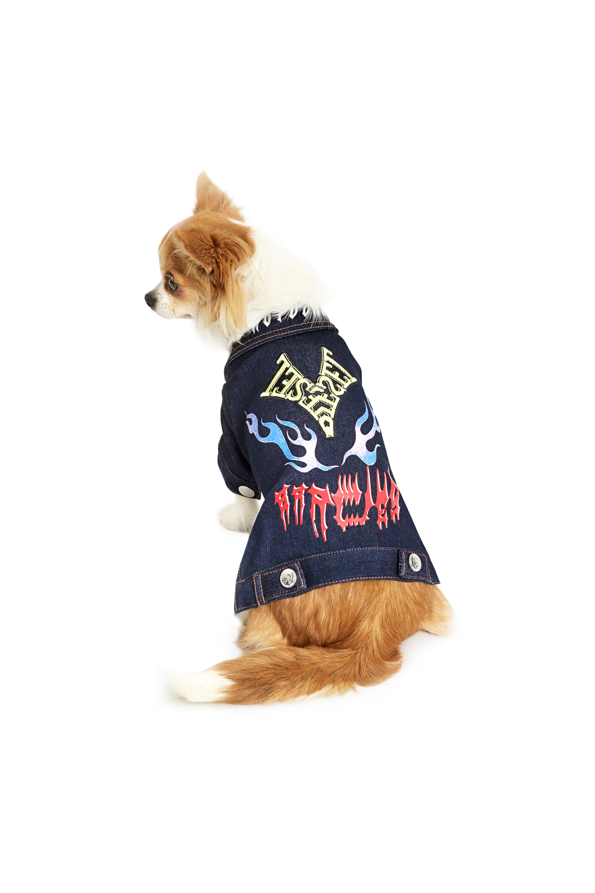 Dog store battle jacket