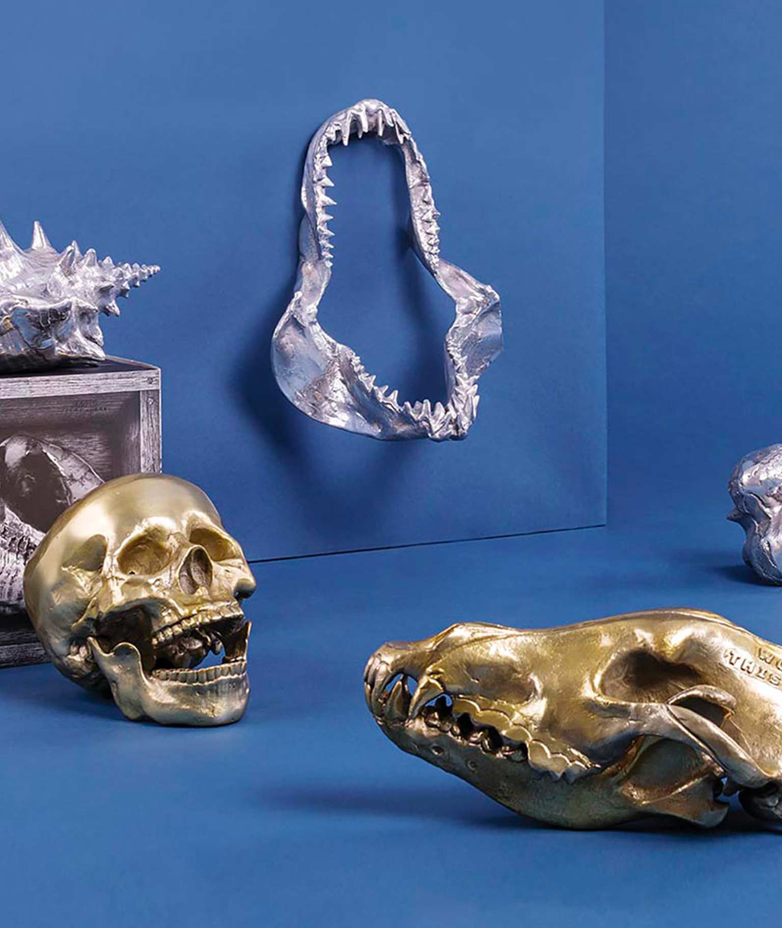 / Diesel Living: Home Accessories with Seletti