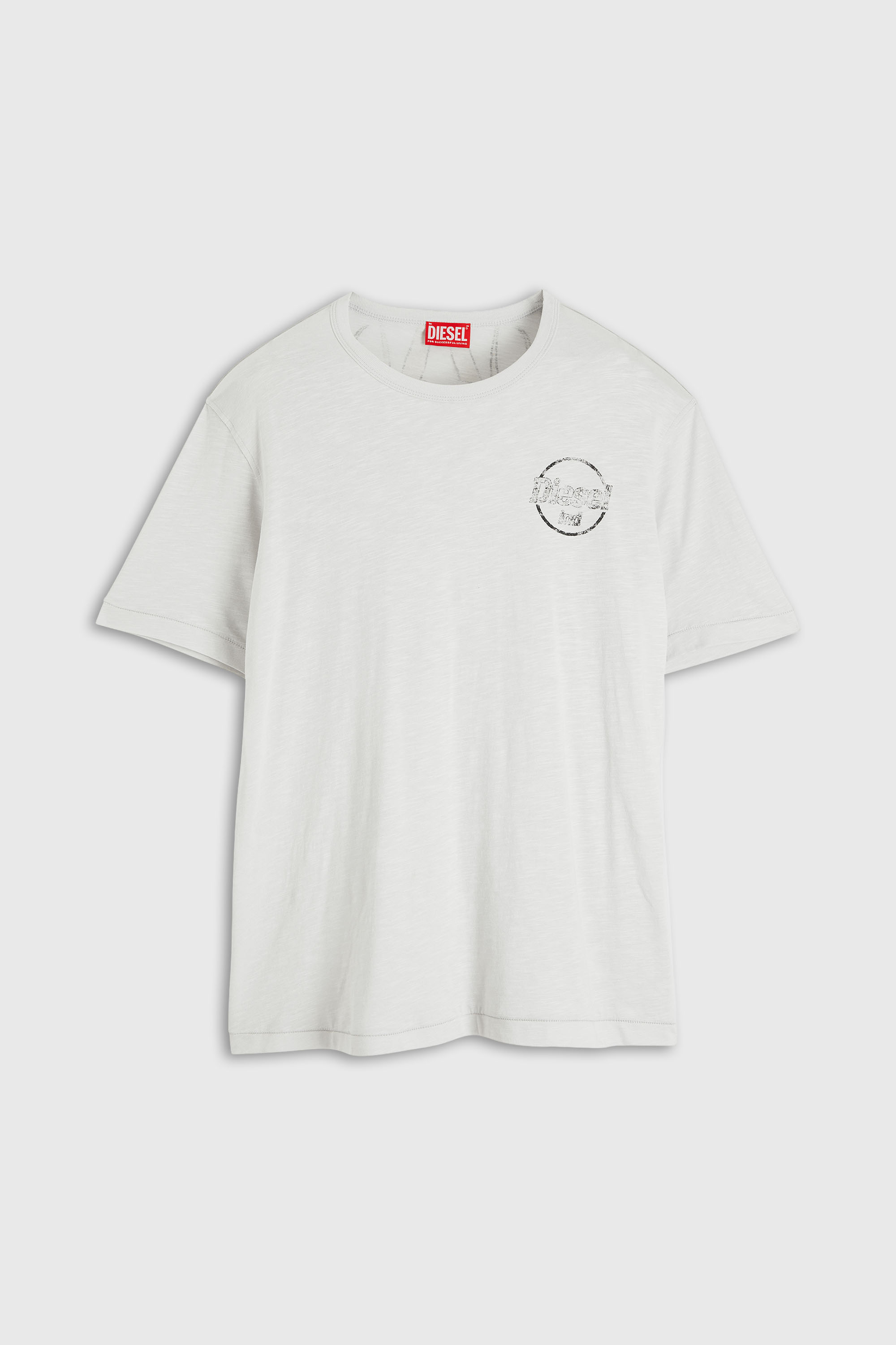 Diesel - T-ADJUST-B11, Man's T-shirt in slub jersey with crack print in White - 2