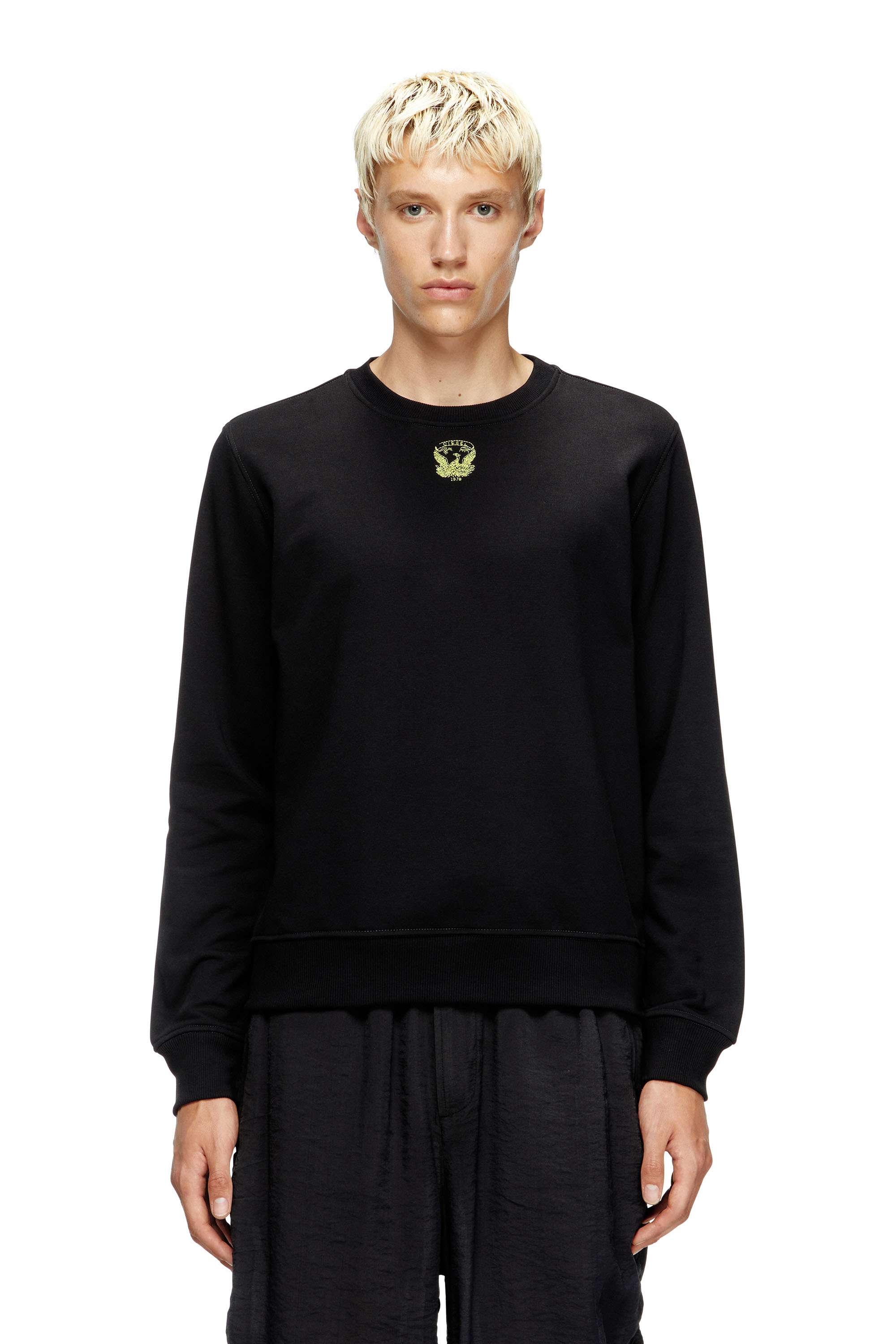 Diesel - S-GINN-T1, Sweat-shirt avec phénix brodé Homme in Noir - 1