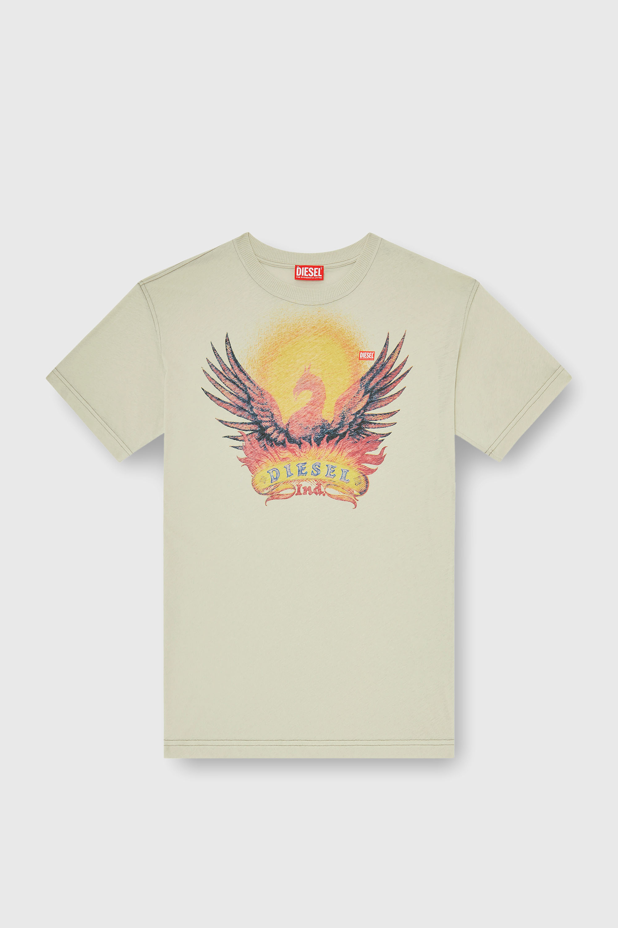 Diesel - T-NORM-AA1, Man's Regular T-shirt with Phoenix print in Beige - 2