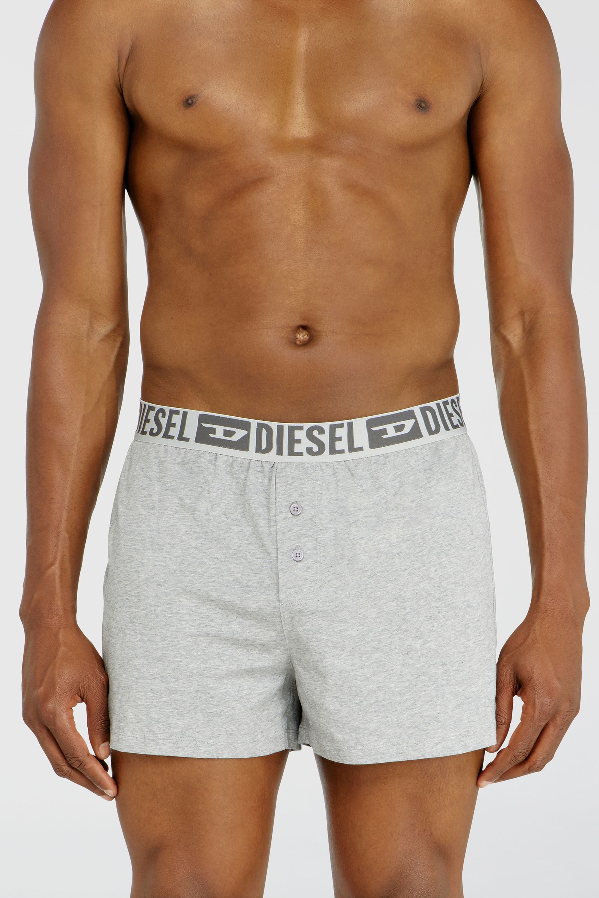 Diesel - STARKIE-D-CORE-2PACK, Lot de deux boxers en coton stretch Homme in Gris - 1