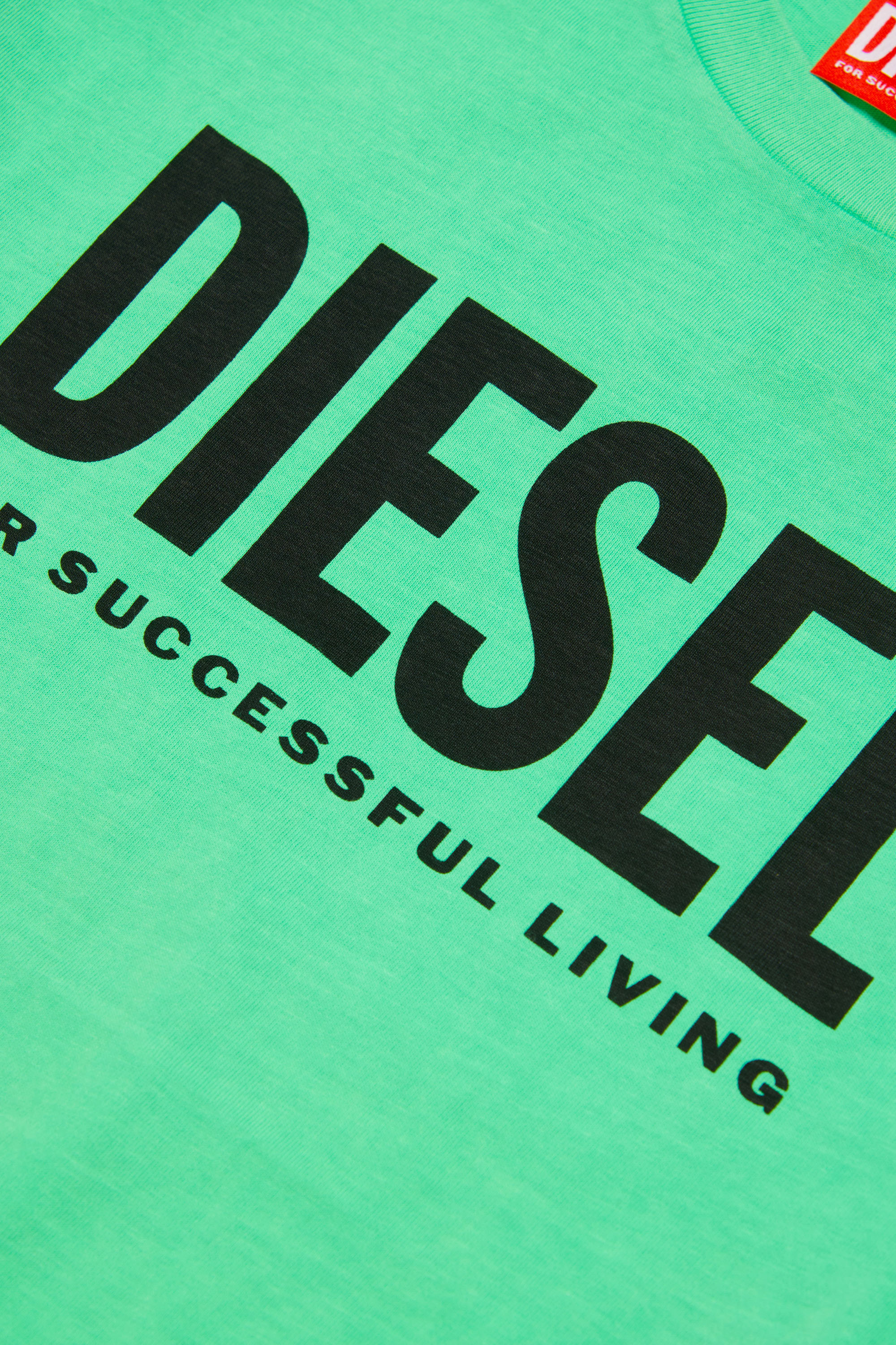 Diesel - TNUCI OVER, Mixte T-shirt avec logo Diesel For Successful Living in Vert - Image 3