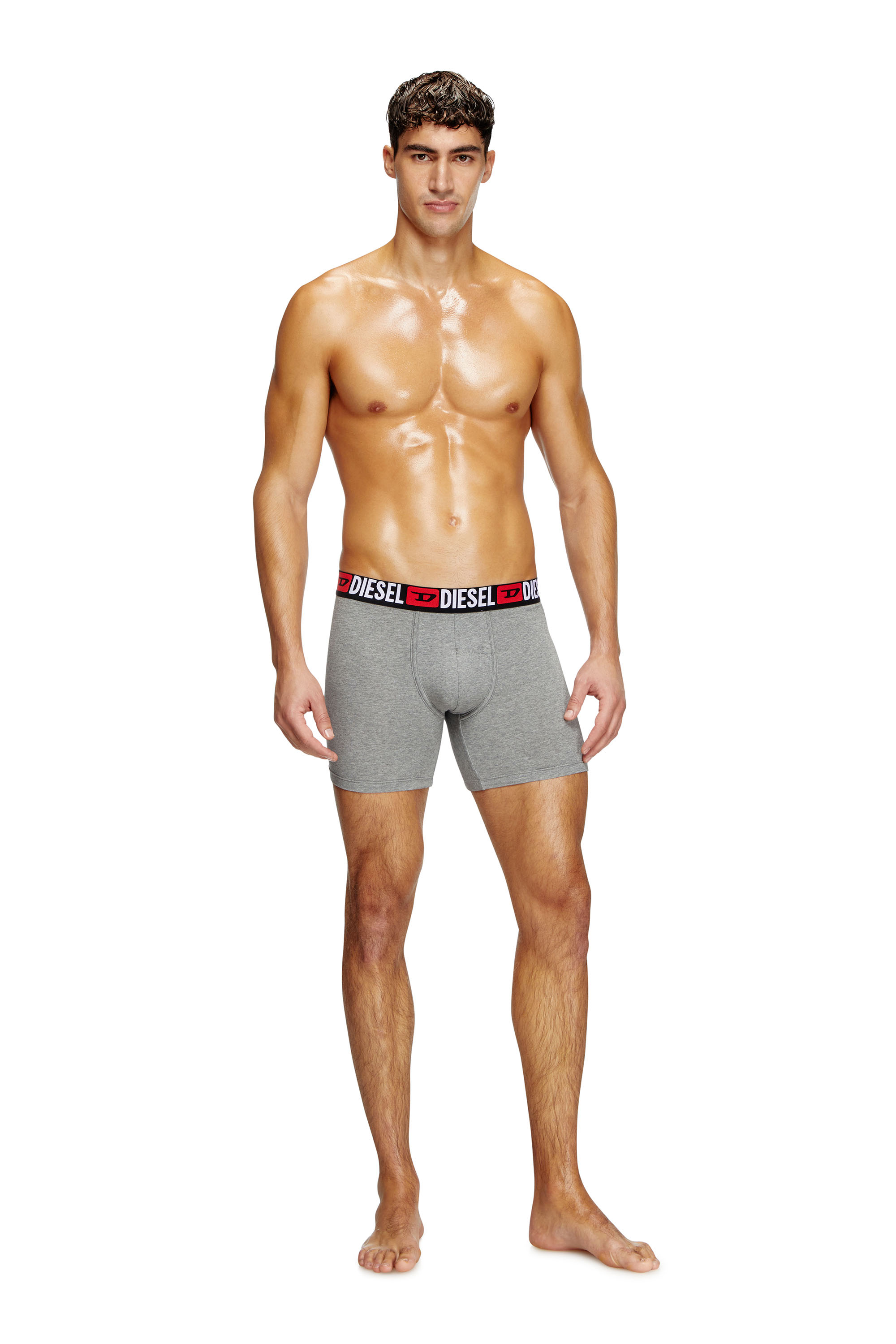 Diesel - MAX-D-CORE-3PACK, Lot de trois boxer en coton stretch Homme in Polychrome - 1