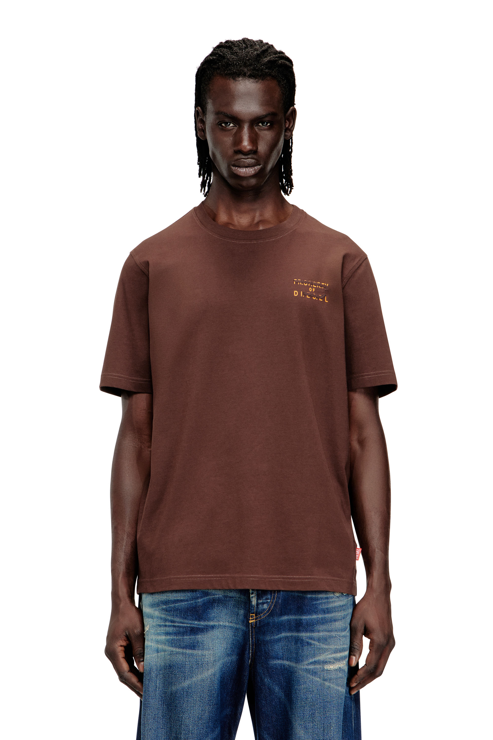 Diesel - T-ADJUST-V5, T-shirt en coton classique avec impression en relief Homme in Marron - 1