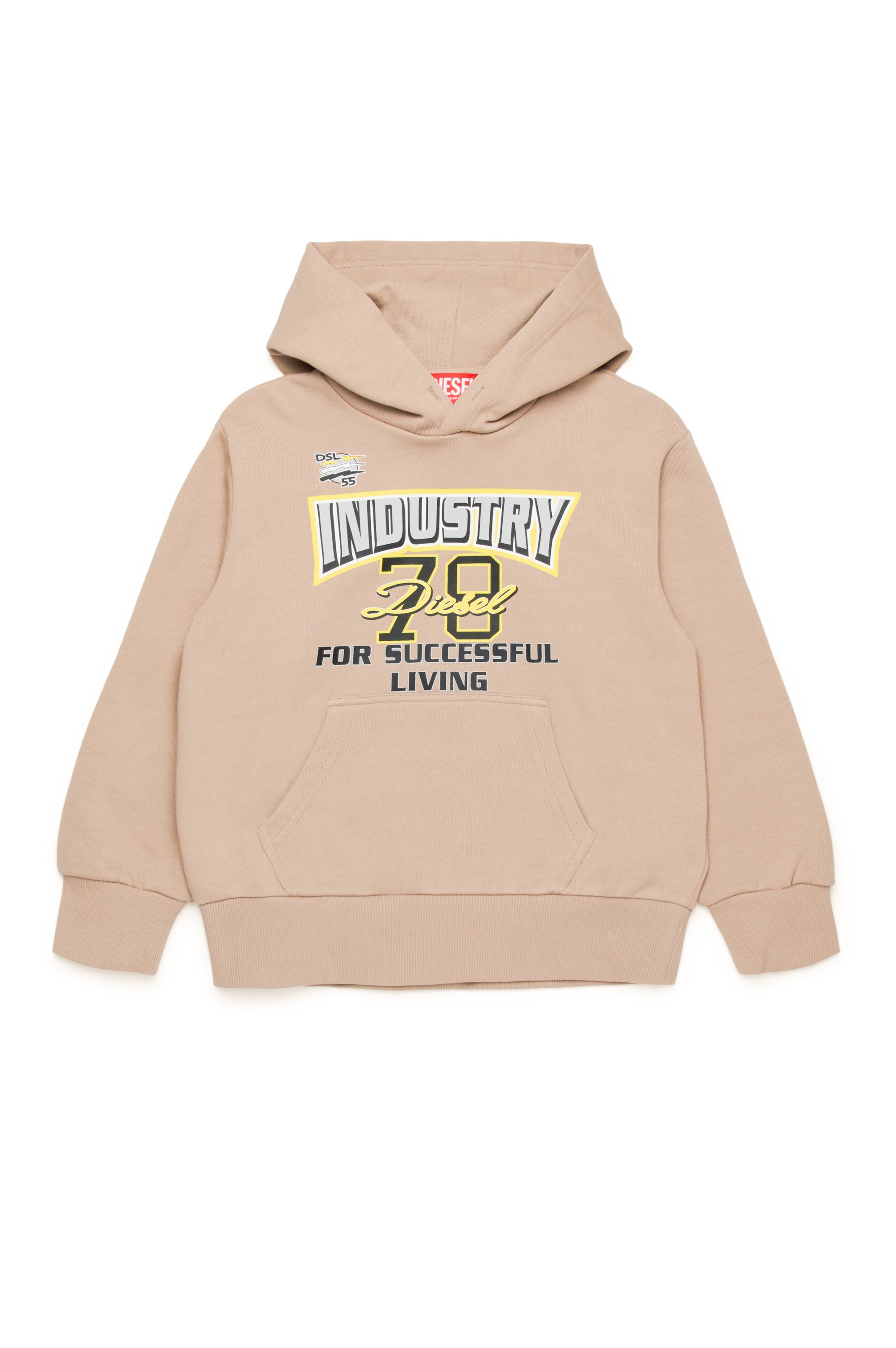 Diesel - SRULP OVER, Man's Faded hoodie with logo graphic in Light Brown - 1