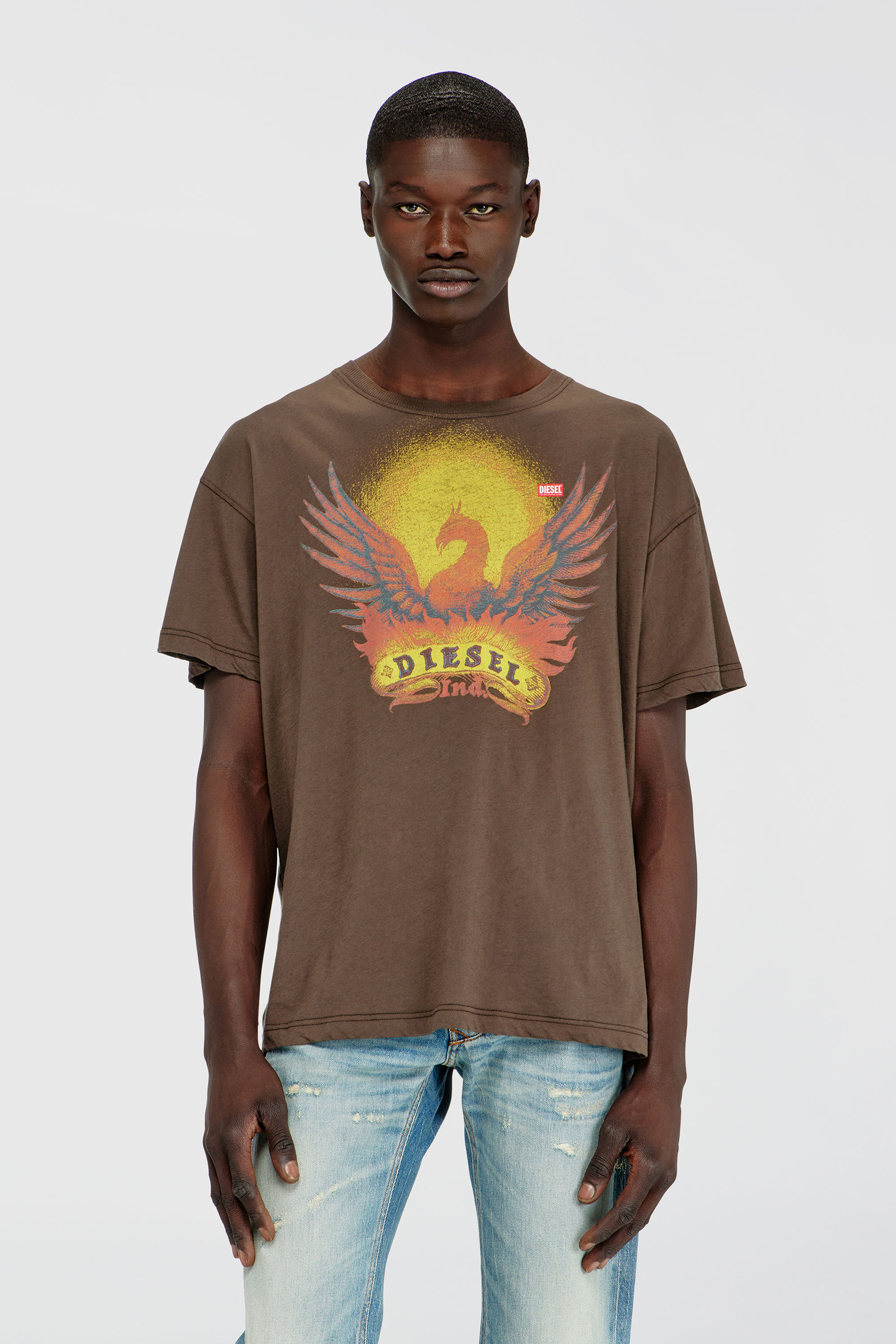 Diesel - T-NORM-AA1, T-shirt droite avec imprim&eacute; Ph&eacute;nix Homme in Marron - 3