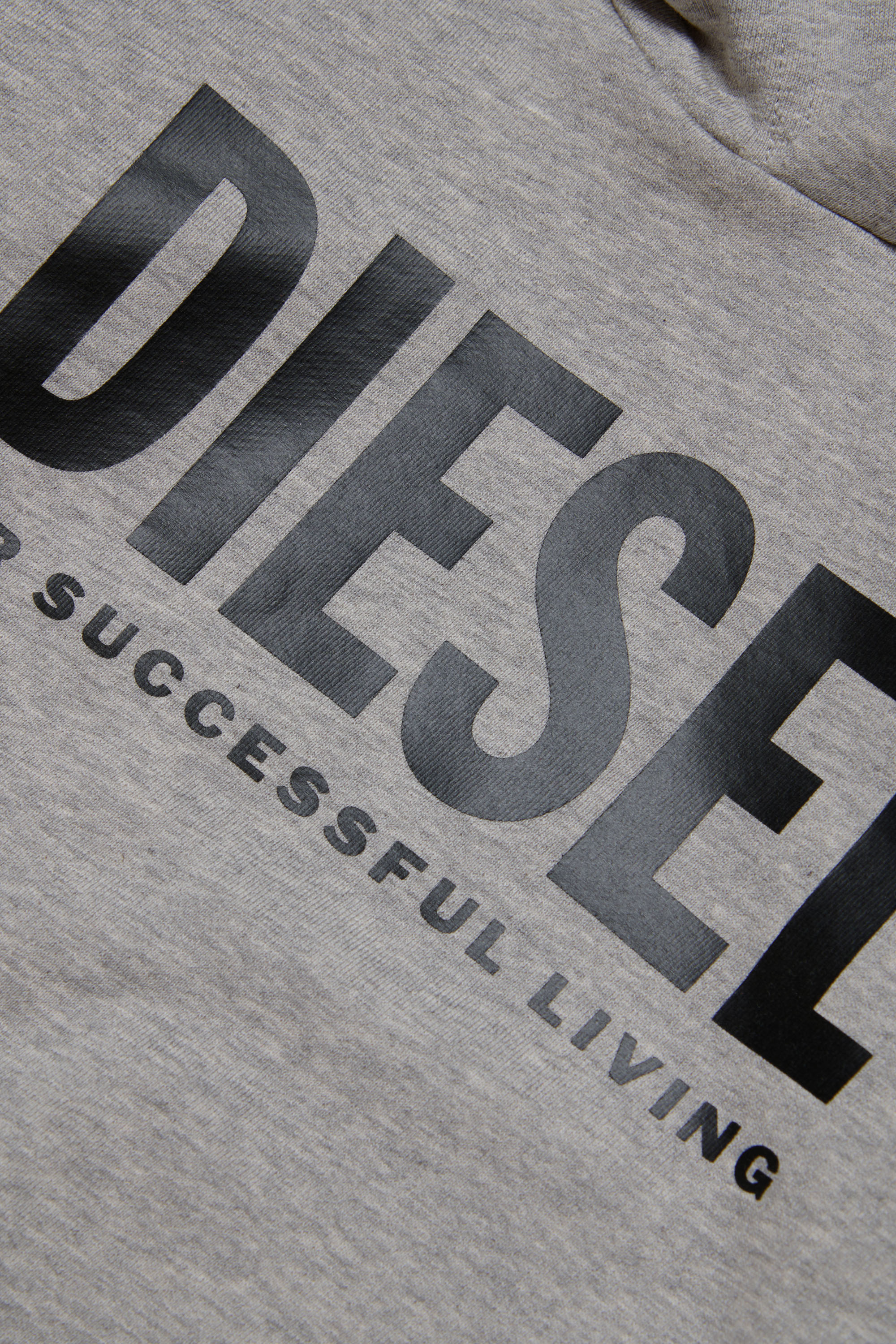 Diesel - LSFORT DI OVER HOOD, Mixte Sweat-shirt à capuche avec logo imprimé in Gris - Image 3