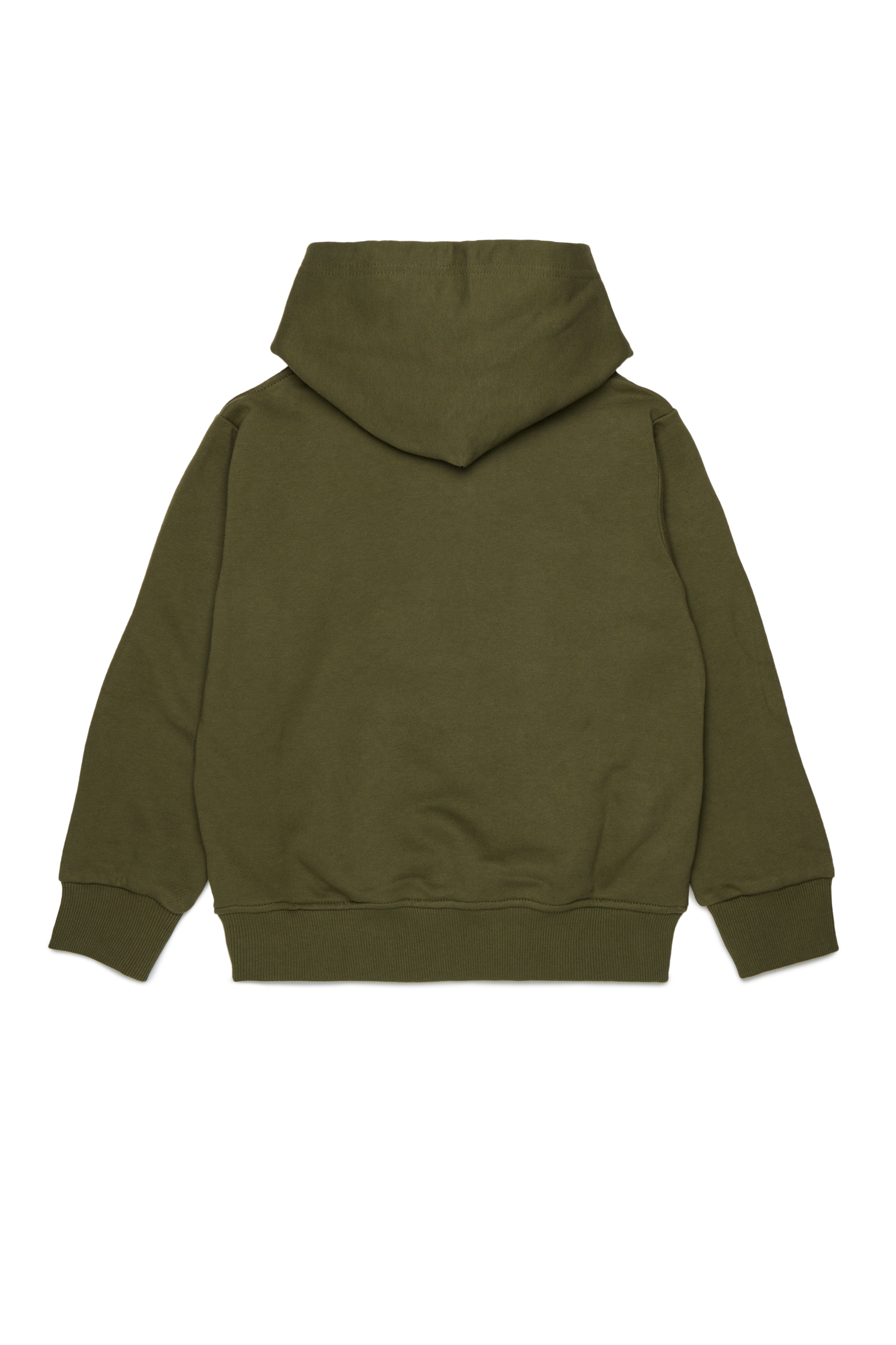 Diesel - SCIRCLEHOOD OVER, Sweat &agrave; capuche avec imprim&eacute; logo Diesel Homme in Vert - 2