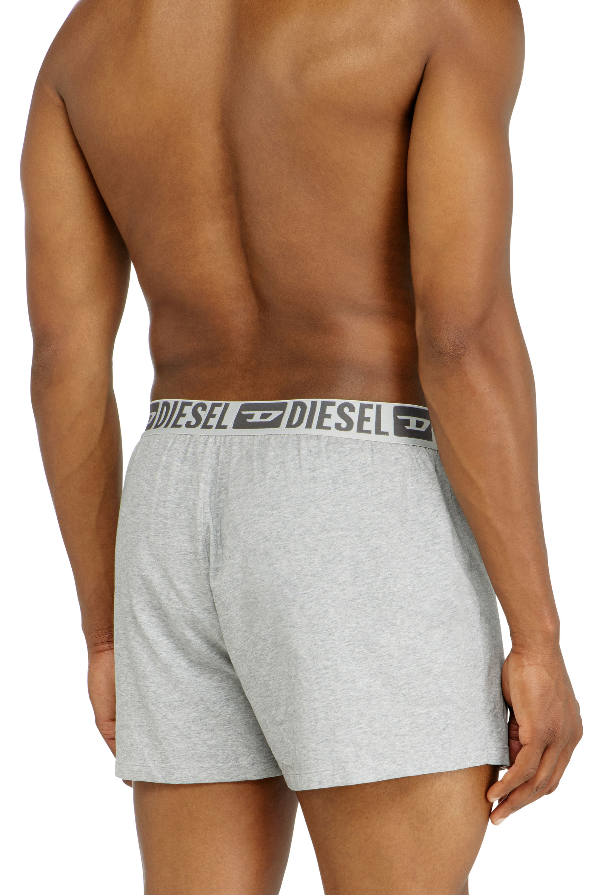 Diesel - STARKIE-D-CORE-2PACK, Lot de deux boxers en coton stretch Homme in Gris - 4