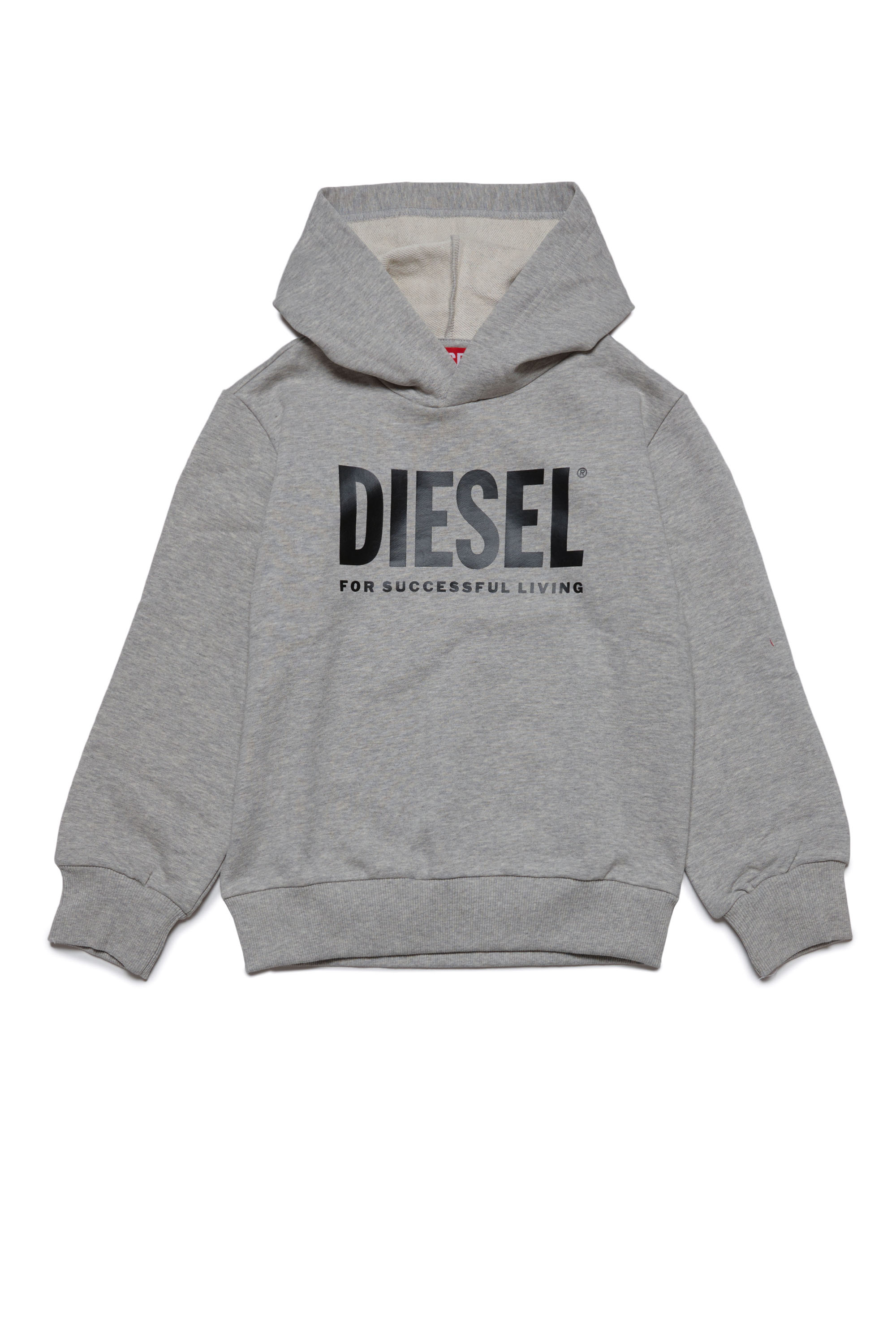 Diesel - LSFORT DI OVER HOOD, Mixte Sweat-shirt à capuche avec logo imprimé in Gris - Image 1